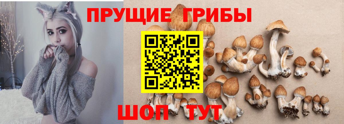 Псилоцибиновые грибы Psilocybine cubensis Урюпинск