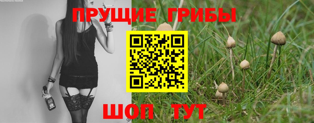 Урюпинск  Галлюциногенные грибы Magic Shrooms  где купить наркотик  Вход с VPN 